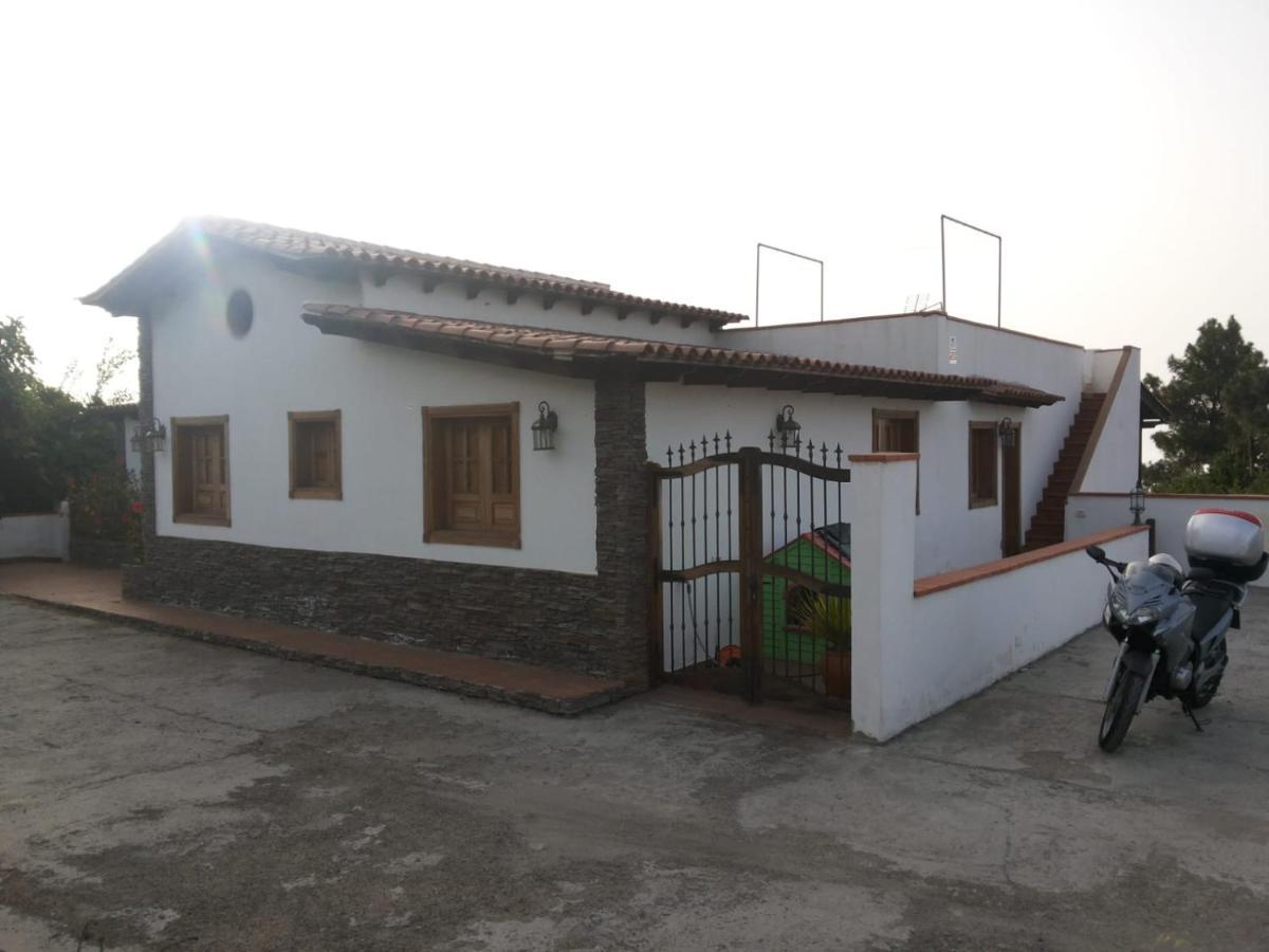 Oasis Hill Icod De Los Vinos Ngoại thất bức ảnh